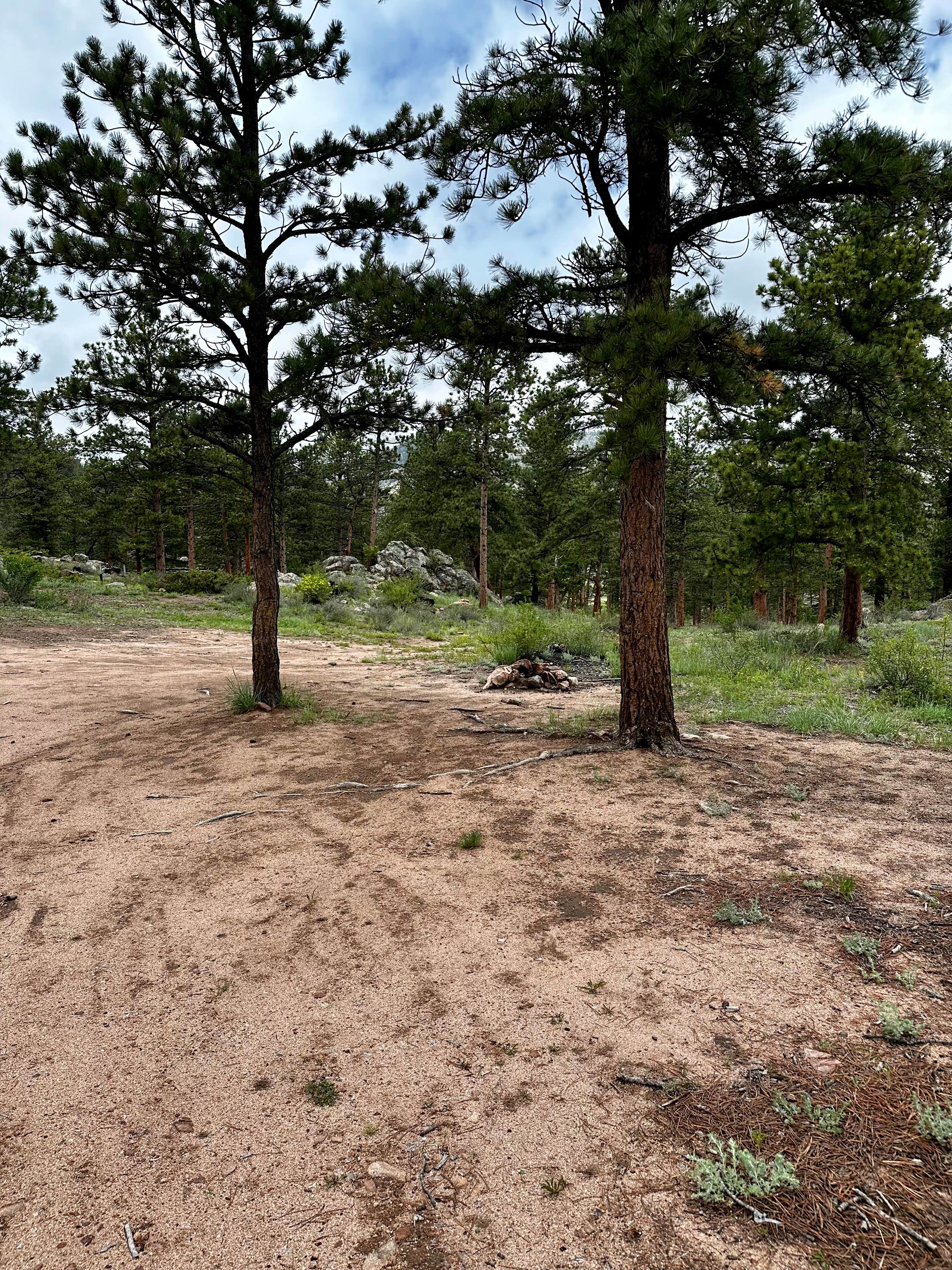 Camper-submitted photo at Elkhorn Creek Dispersed Camping near Livermore, CO