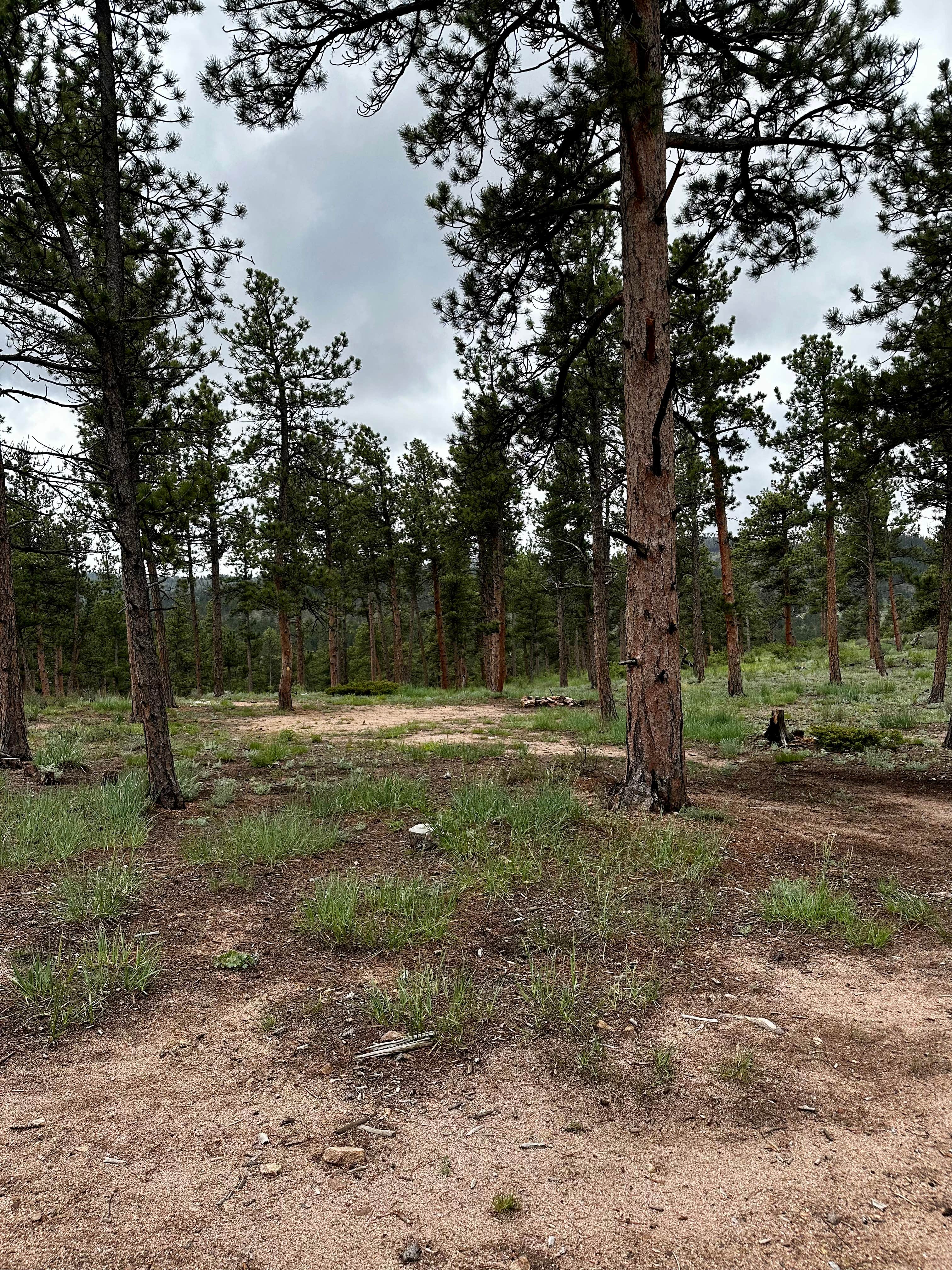 Camper-submitted photo at Elkhorn Creek Dispersed Camping near Livermore, CO