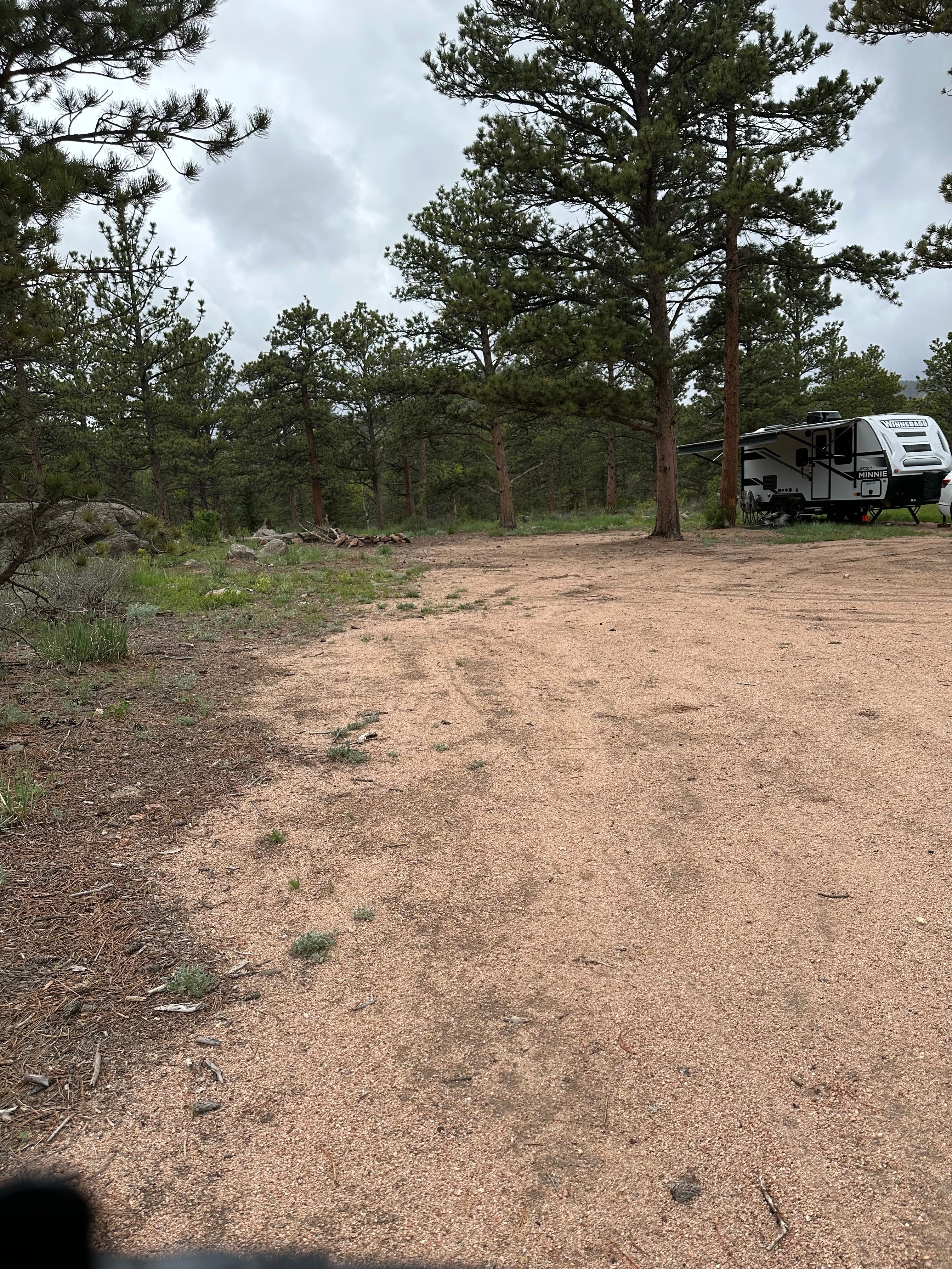 Camper submitted image from Elkhorn Creek Dispersed Camping - 5