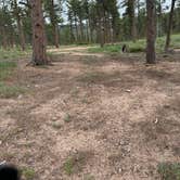 Review photo of Elkhorn Creek Dispersed Camping by Kevin R., June 6, 2023