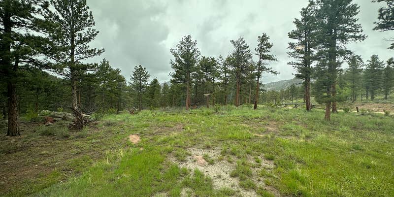 Camper submitted image from Elkhorn Creek Dispersed Camping