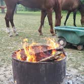 Review photo of Hummingbird Hollow Outdoors Farm Sanctuary by Amy , June 6, 2023