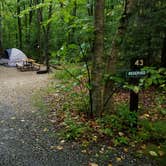 Review photo of Lafayette Place Campground — Franconia Notch State Park by Jean C., October 15, 2018