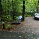 Review photo of Lafayette Place Campground — Franconia Notch State Park by Jean C., October 15, 2018