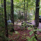 Review photo of Lafayette Place Campground — Franconia Notch State Park by Jean C., October 15, 2018