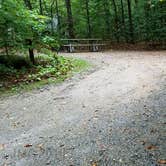 Review photo of Lafayette Place Campground — Franconia Notch State Park by Jean C., October 15, 2018