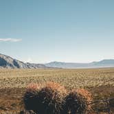 Review photo of Death Valley: Dispersed Camping East Side of Park by Ryan S., June 6, 2023