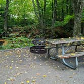 Review photo of Lafayette Place Campground — Franconia Notch State Park by Jean C., October 15, 2018