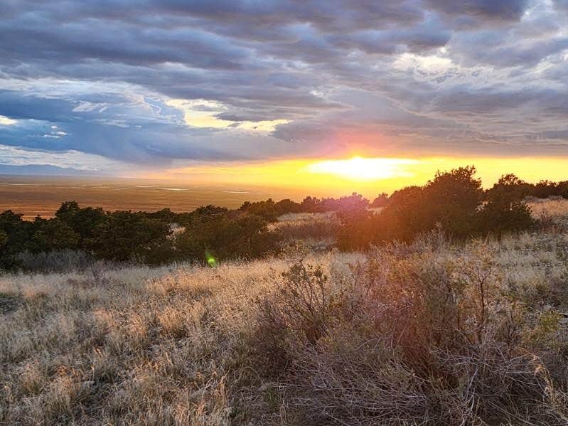Vanessa C.'s photo of a dispersed camping area at Great Sand Dunes Dispersed near La Jara, CO
