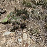 Review photo of Great Sand Dunes Dispersed by Vanessa C., June 6, 2023