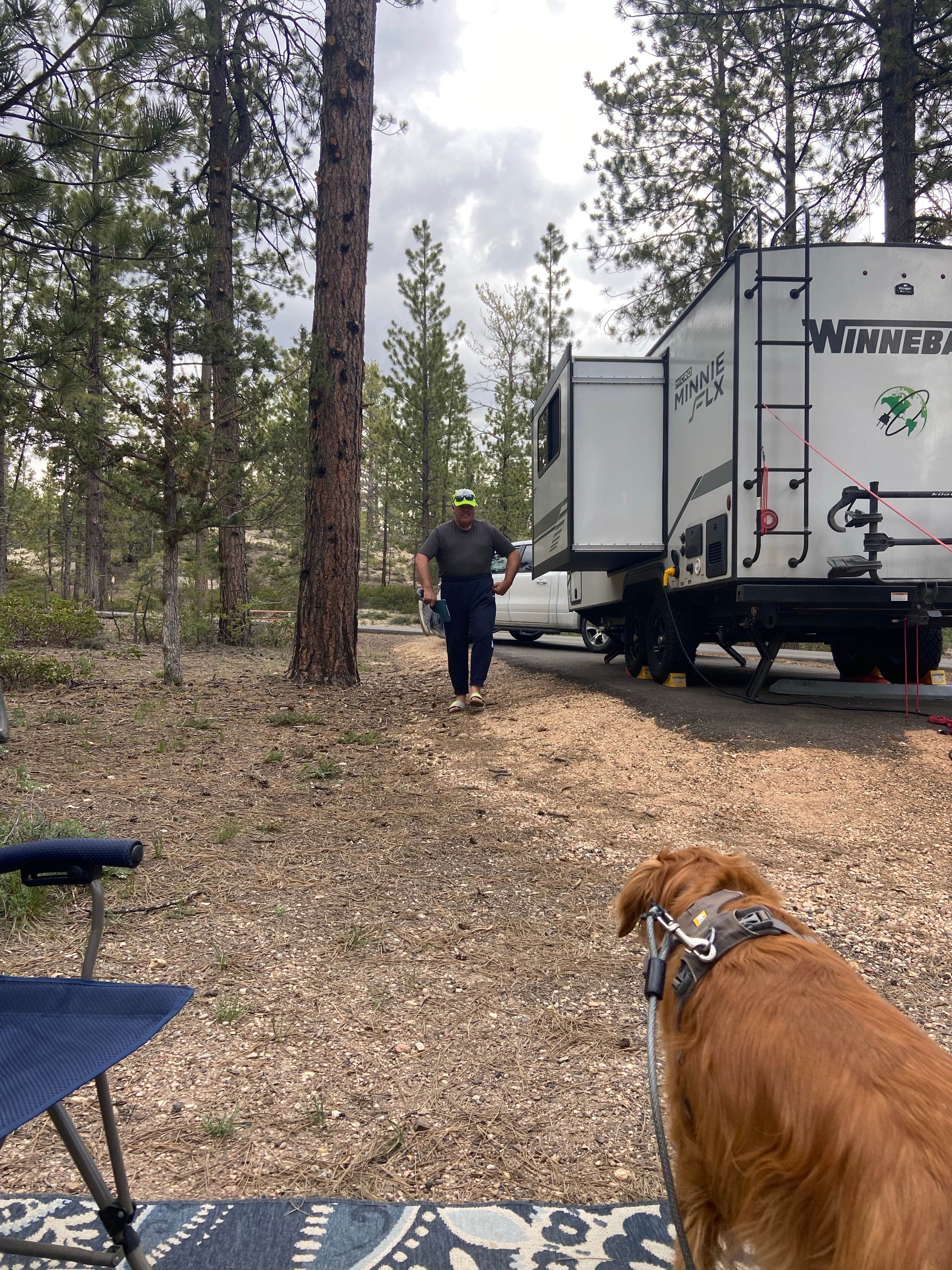 james's photo of camping with pets at Sunset Campground — Bryce Canyon National Park near Bryce Canyon National Park