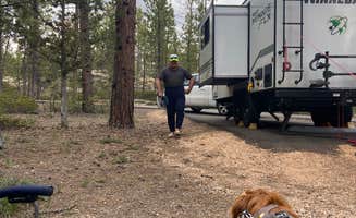 james's photo of camping with pets at Sunset Campground — Bryce Canyon National Park near Bryce Canyon National Park