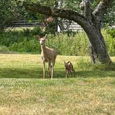 Review photo of Mountainview Campground by Leslie S., June 6, 2023