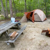Review photo of Marthas Vineyard Family Campground by Kenneth K., June 6, 2023