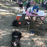 Review photo of Burr Oak State Park Campground by Andy B., June 6, 2023