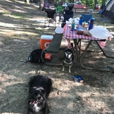 Review photo of Burr Oak State Park Campground by Andy B., June 6, 2023