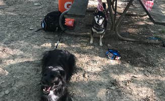 Andy B.'s photo of camping with pets at Burr Oak State Park Campground near Chauncey, OH