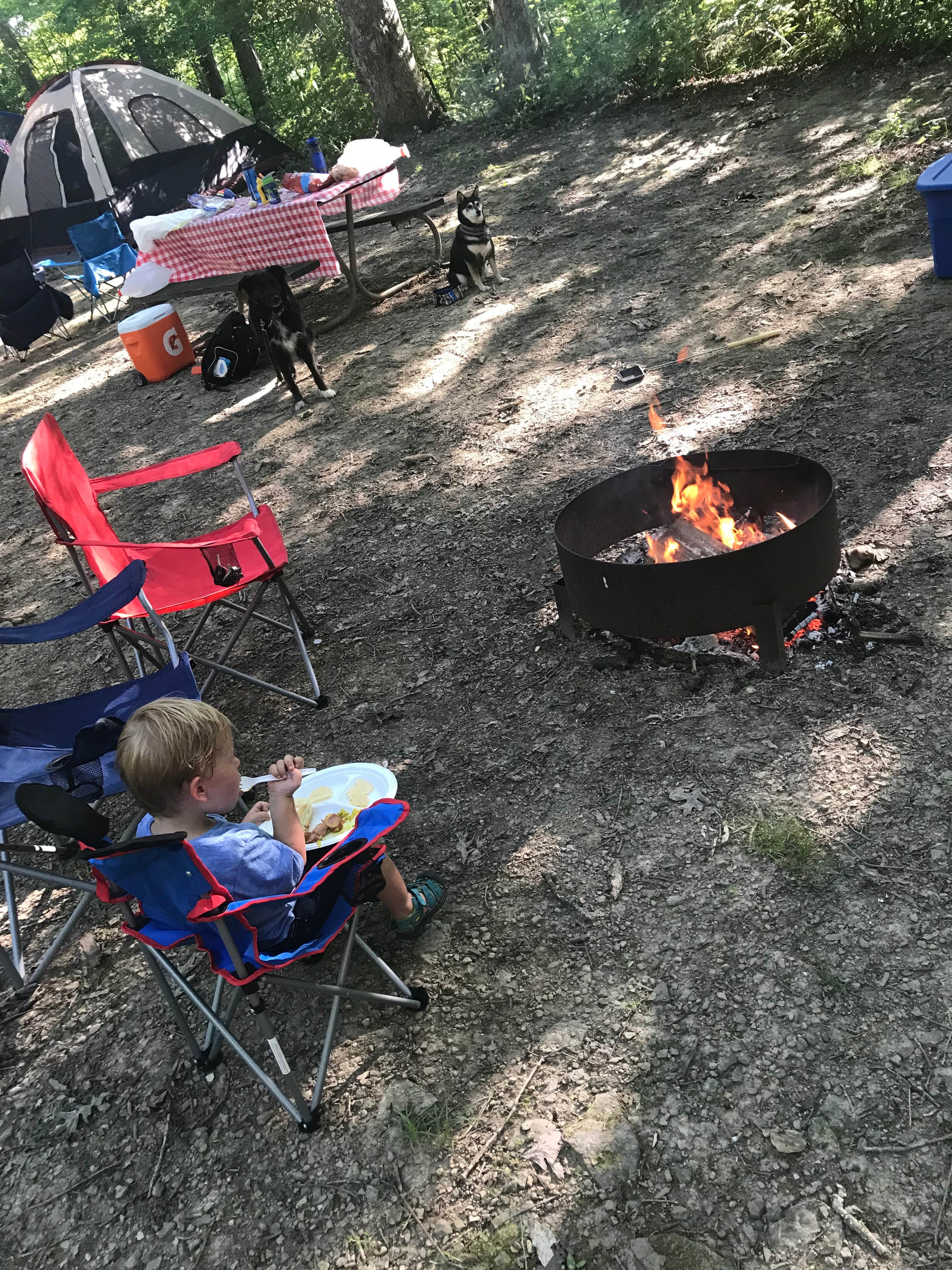 Andy B.'s photo of camping with pets at Burr Oak State Park Campground near Cumberland, OH