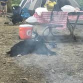 Review photo of Burr Oak State Park Campground by Andy B., June 6, 2023
