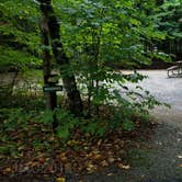 Review photo of Lafayette Place Campground — Franconia Notch State Park by Jean C., October 15, 2018