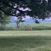 Review photo of Shellrock River Co Preserve by Tammie C., June 6, 2023