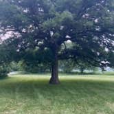 Review photo of Shellrock River Co Preserve by Tammie C., June 6, 2023