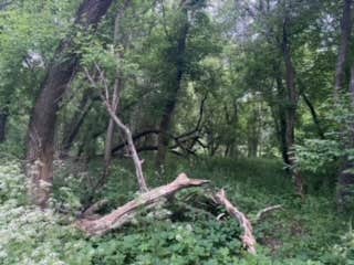 Camper-submitted photo at Shellrock River Co Preserve near Clear Lake, IA
