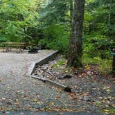 Review photo of Lafayette Place Campground — Franconia Notch State Park by Jean C., October 15, 2018