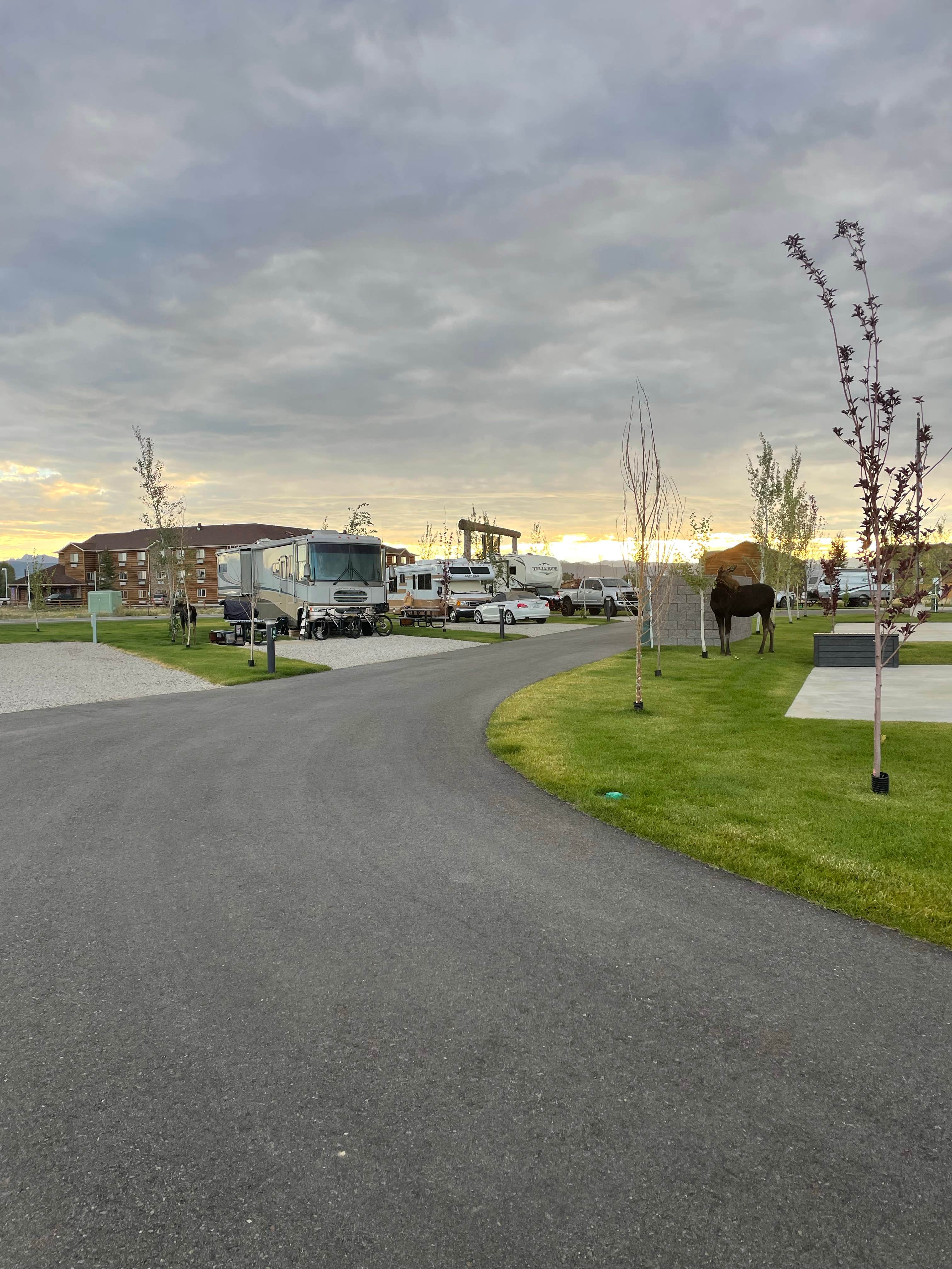 Camper submitted image from Yellowstone Trail RV Park - 5