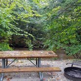 Review photo of Lafayette Place Campground — Franconia Notch State Park by Jean C., October 15, 2018