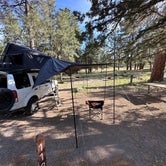 Review photo of Flagstaff KOA by Name , June 6, 2023