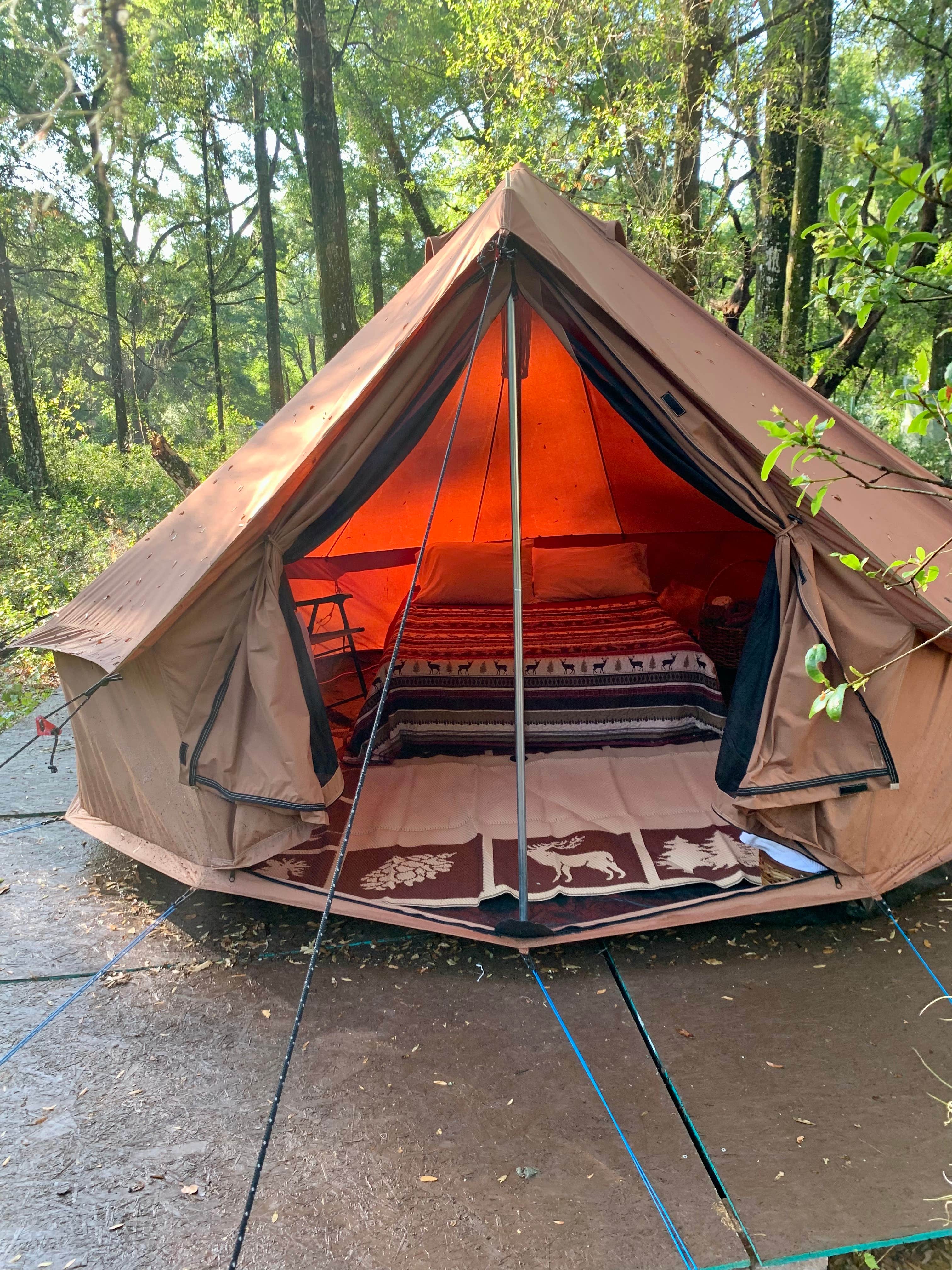 Dezarae H.'s photo at Woodland Nesters near Homosassa, FL