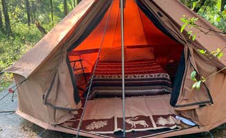 Dezarae H.'s photo at Woodland Nesters near Inglis, FL