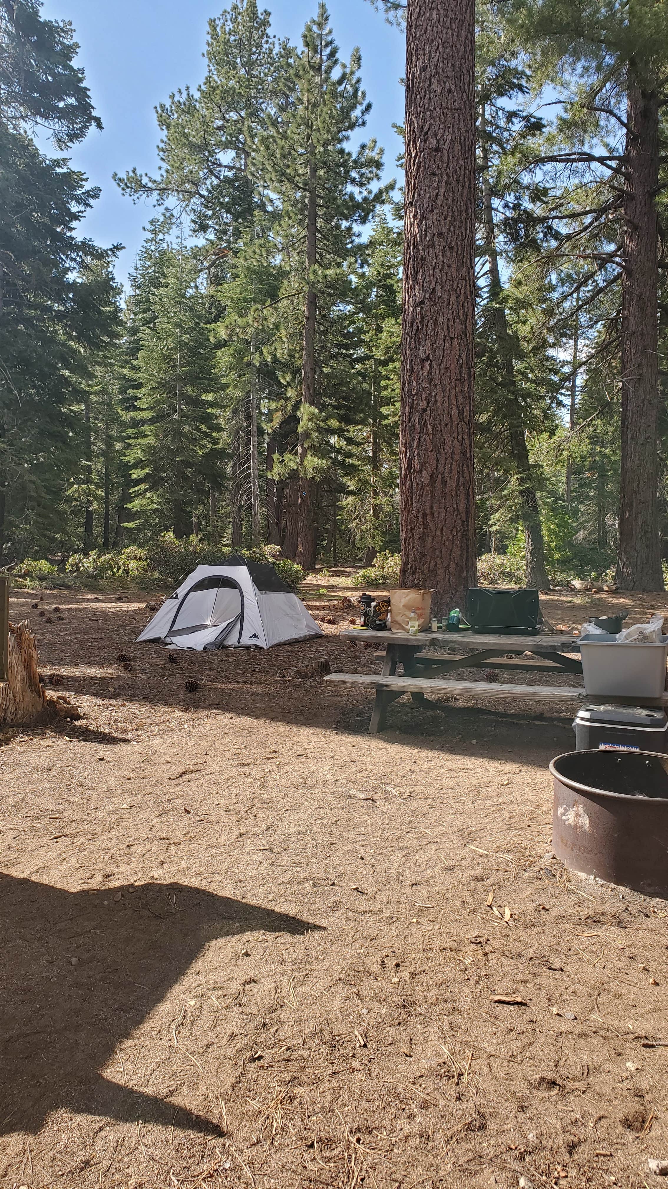 Dominic J.'s photo at General Creek Campground — Sugar Pine Point State Park near Stateline, NV