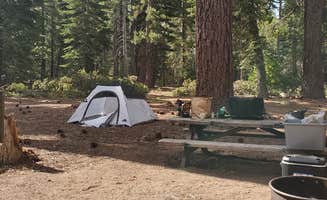 Dominic J.'s photo at General Creek Campground — Sugar Pine Point State Park near Stateline, NV