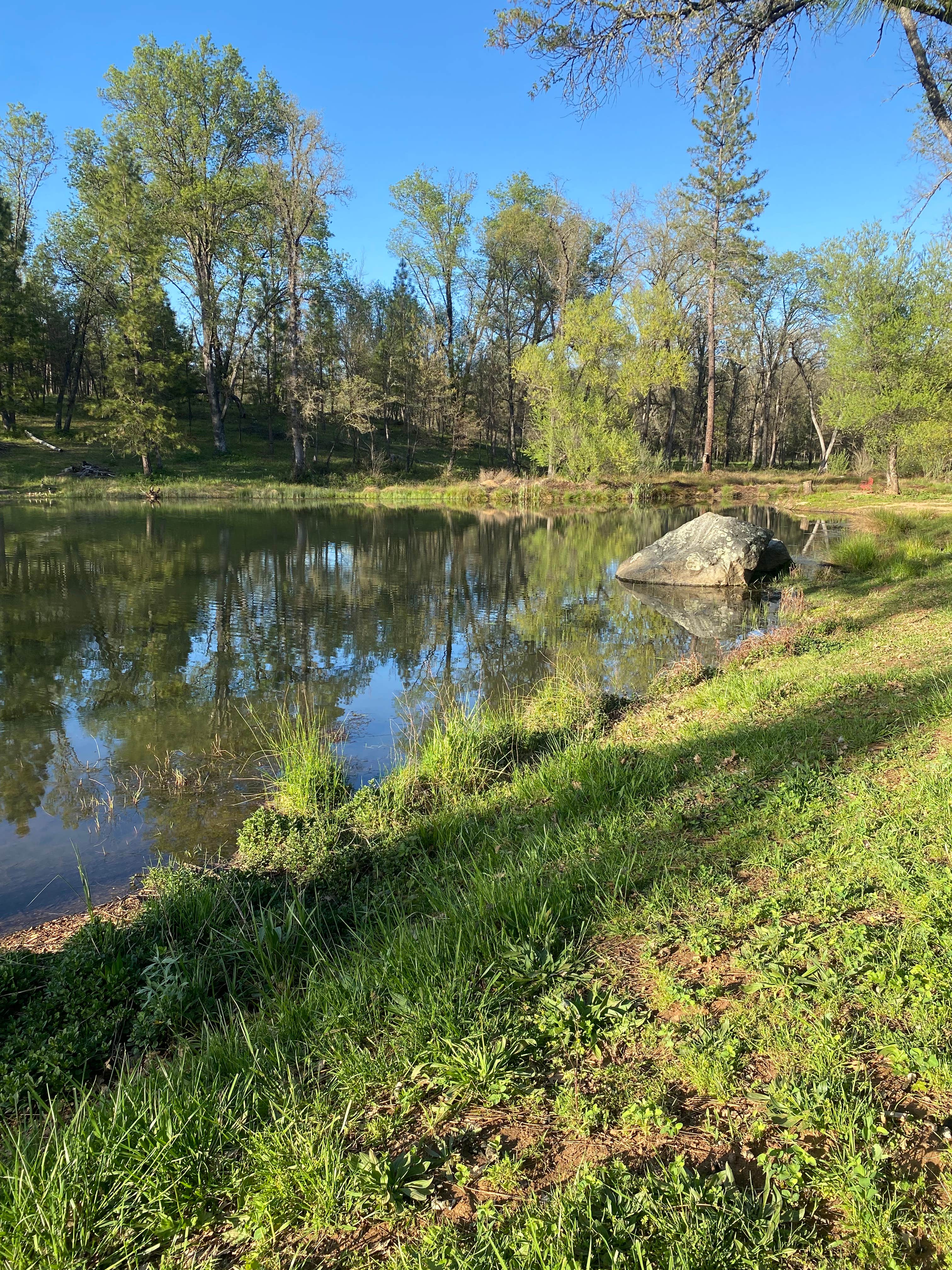 Camper-submitted photo at Oregon House Falls near Oroville, CA