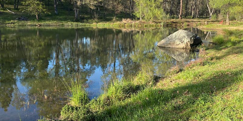 Camper submitted image from Oregon House Falls