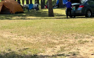 Salena L.'s photo of tent camping at Oregon House Falls near Clio, CA