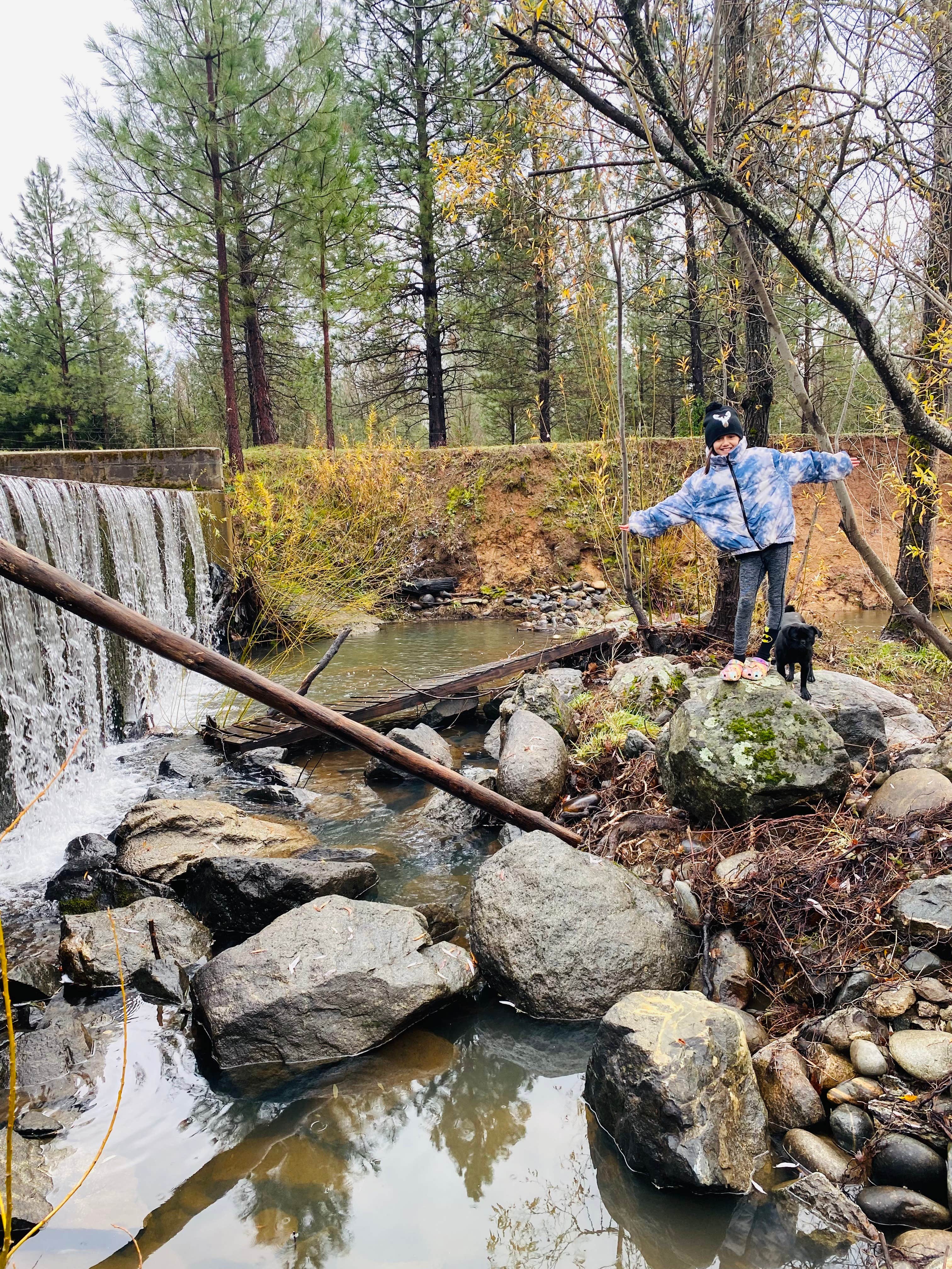 Salena L.'s photo of camping with pets at Oregon House Falls near Marysville, CA