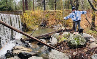 Salena L.'s photo of camping with pets at Oregon House Falls near Nevada City, CA