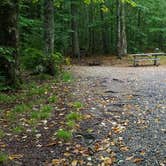 Review photo of Lafayette Place Campground — Franconia Notch State Park by Jean C., October 15, 2018