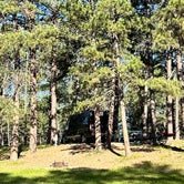 Review photo of Stockade North Campground — Custer State Park by Steven , June 6, 2023
