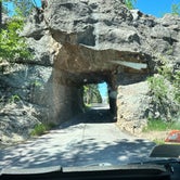 Review photo of Stockade North Campground — Custer State Park by Steven , June 6, 2023