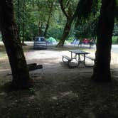 Review photo of Waterloo County Park by Bjorn S., July 13, 2015