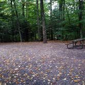 Review photo of Lafayette Place Campground — Franconia Notch State Park by Jean C., October 15, 2018