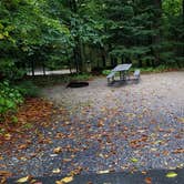 Review photo of Lafayette Place Campground — Franconia Notch State Park by Jean C., October 15, 2018