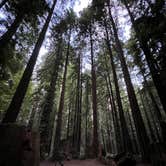 Review photo of Burlington Campground — Humboldt Redwoods State Park by Chris N., June 7, 2023