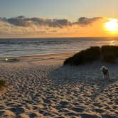 Review photo of Nehalem Bay State Park Campground by Chris N., June 7, 2023