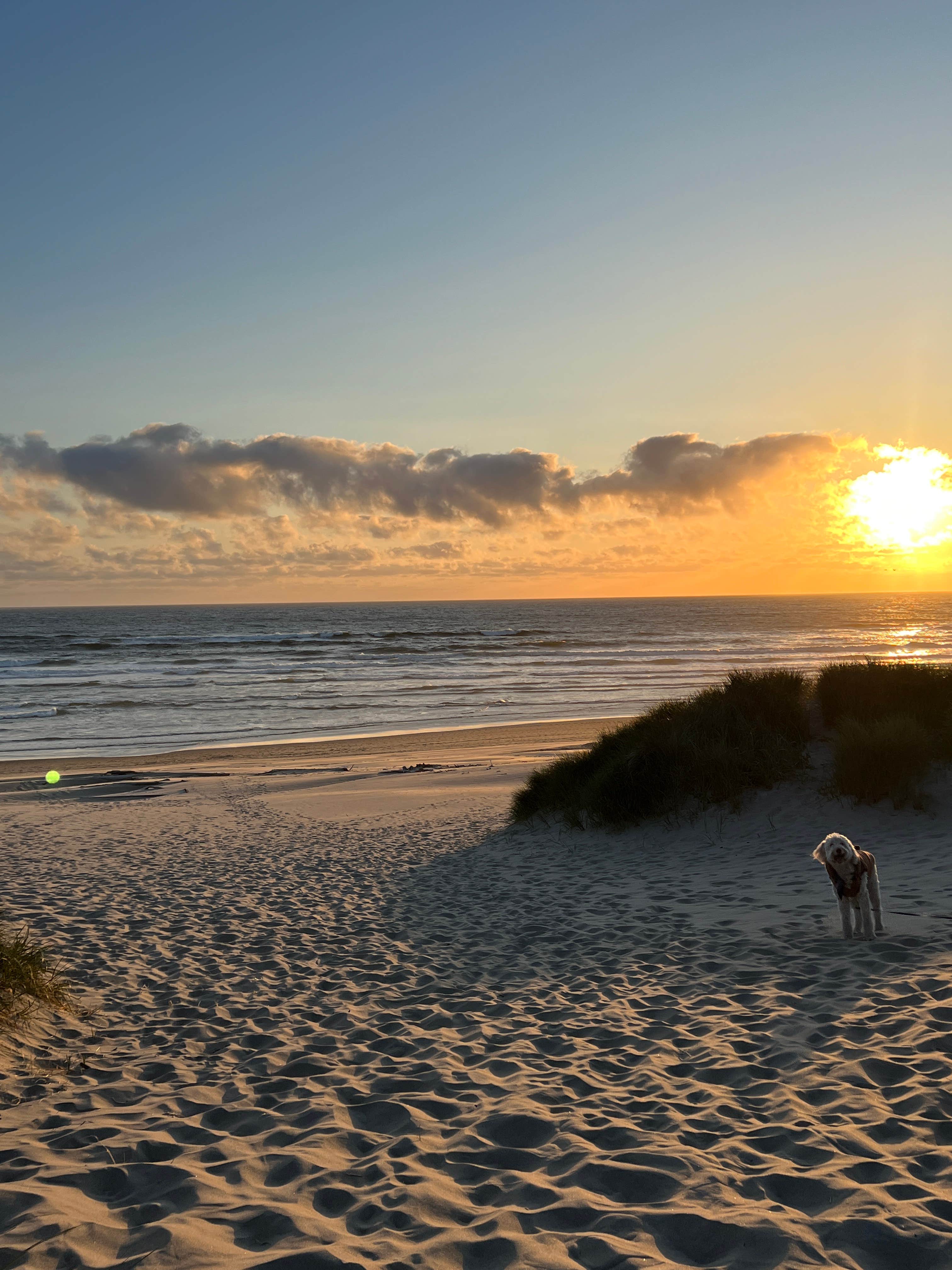 Camper submitted image from Nehalem Bay State Park Campground - 1