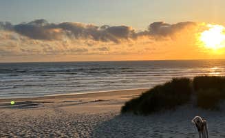 Chris N.'s photo of camping with pets at Nehalem Bay State Park Campground near Manzanita, OR